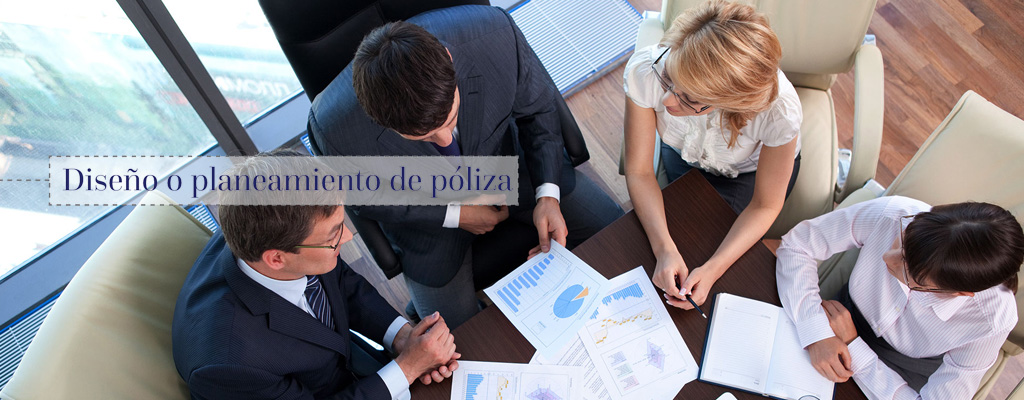 Diseño o planeamiento de póliza